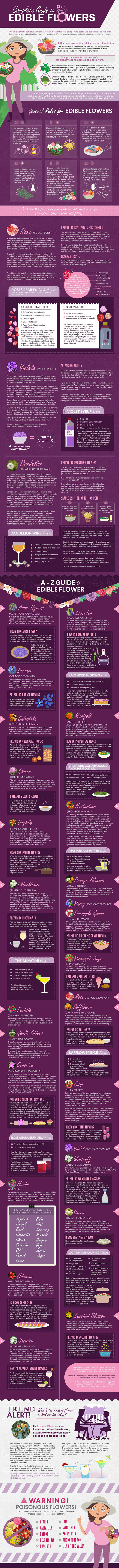 Complete Guide To Edible Flowers