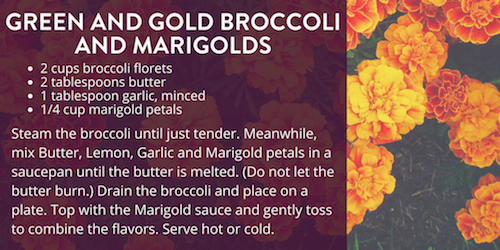 Green and Gold Broccoli and Marigolds Recipe
