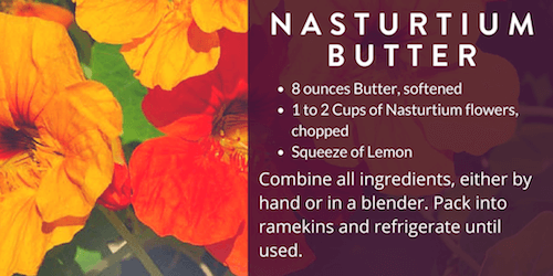 Nasturtium Butter Recipe