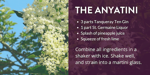 The Anyatini Recipe