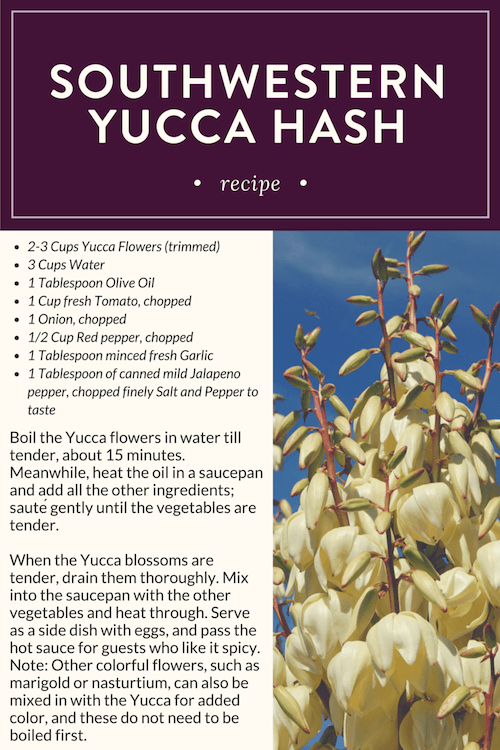 Southwestern Yucca Hash Recipe