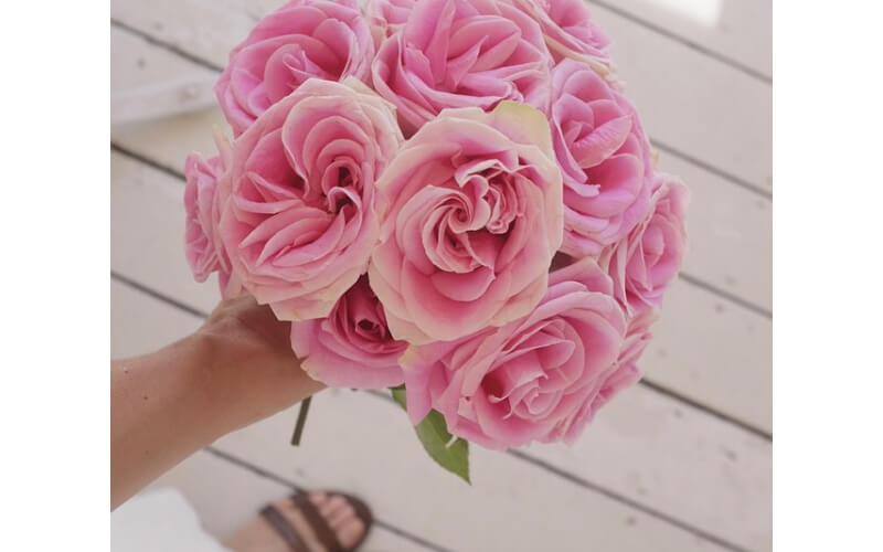 The Best Flowers For Different Occasions