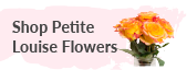 Shop petite Louise flowers