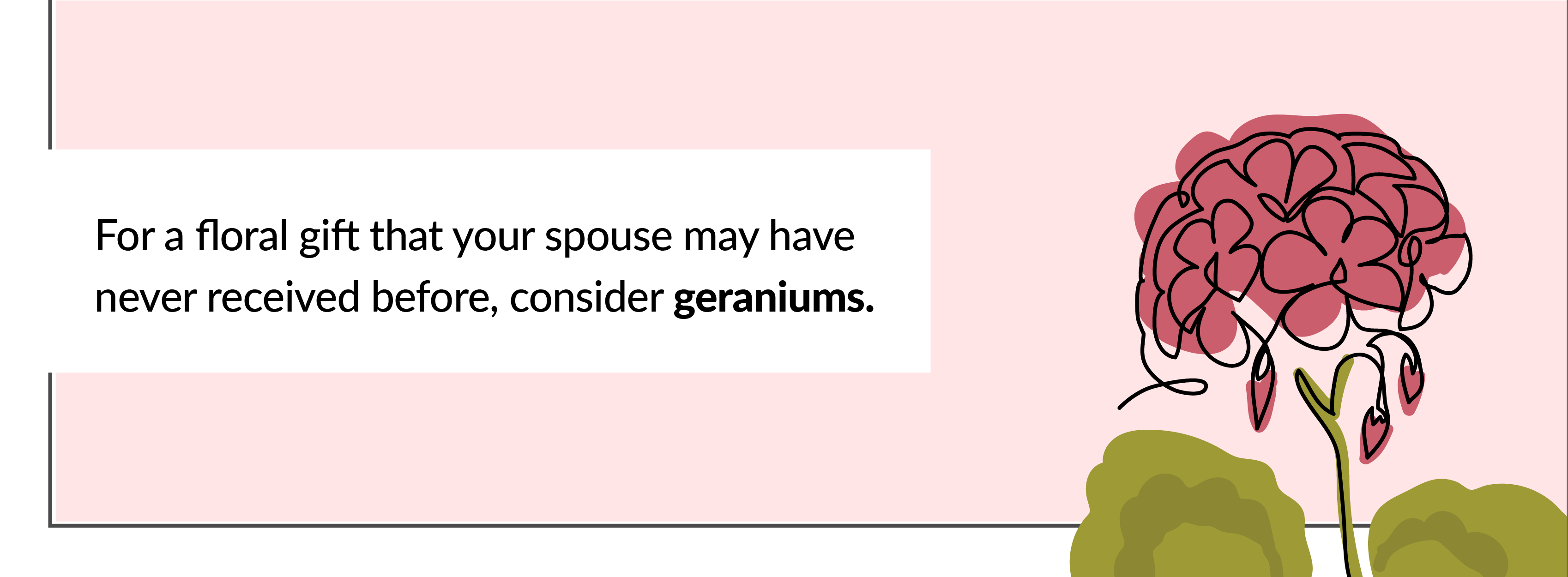 Geraniums for anniversary flowers