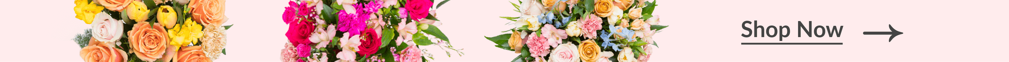 shop fowers now