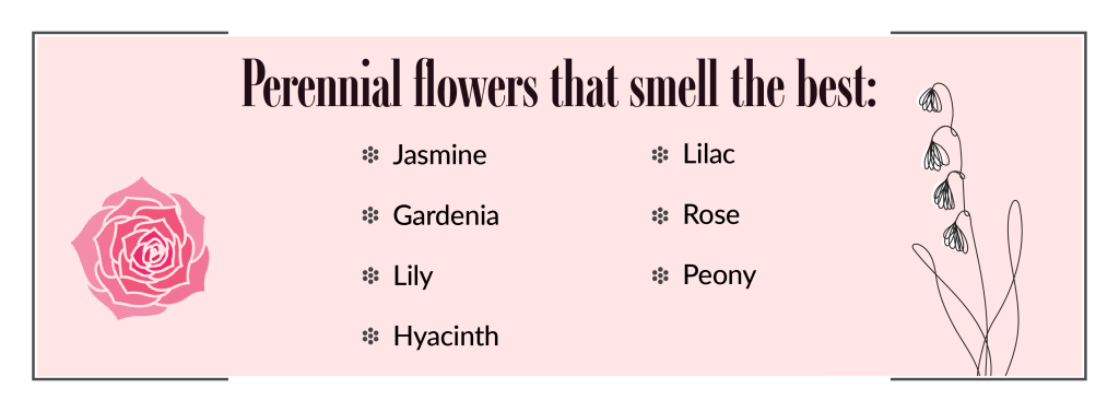 best smelling flowers