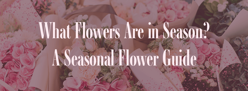 what flowers are in season