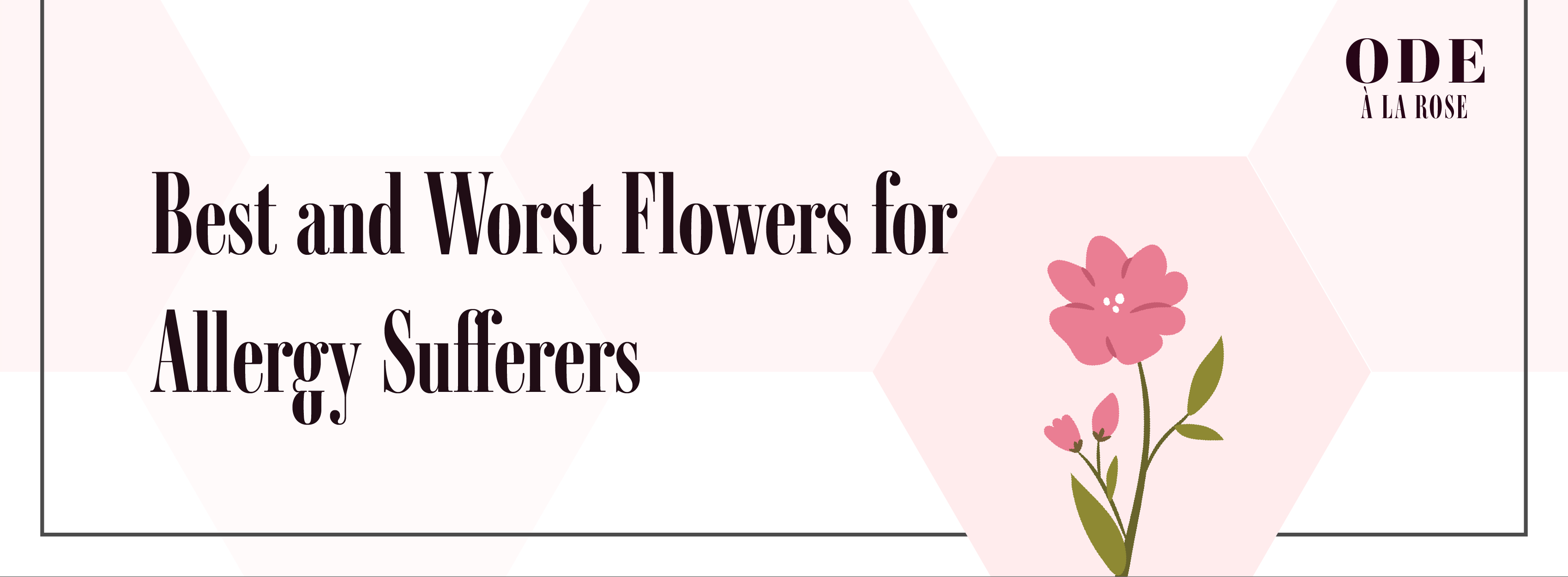 best and worst flowers for allergies