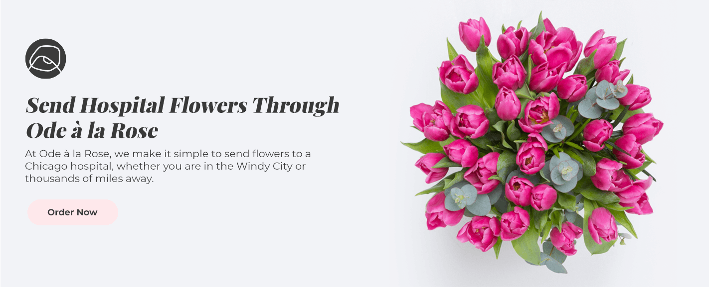How to Send Flowers to Chicago General Hospital Ode à la Rose