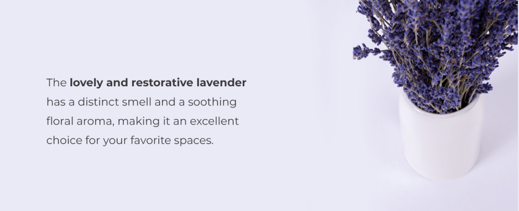 restorative lavender aroma