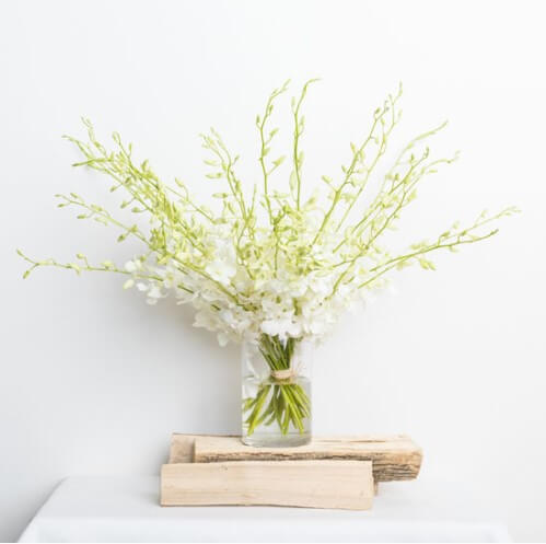 dendrobium bouquet