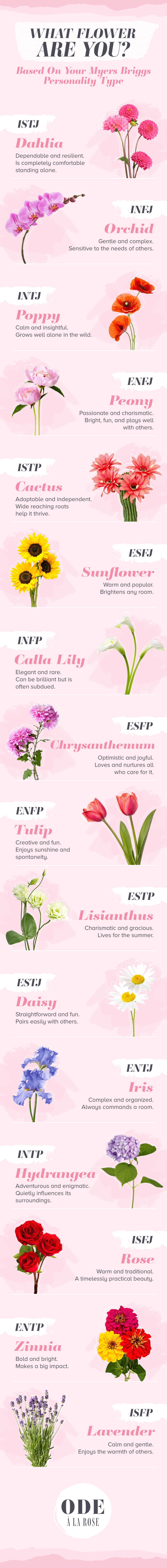 Myers-Briggs Personality Type Flowers