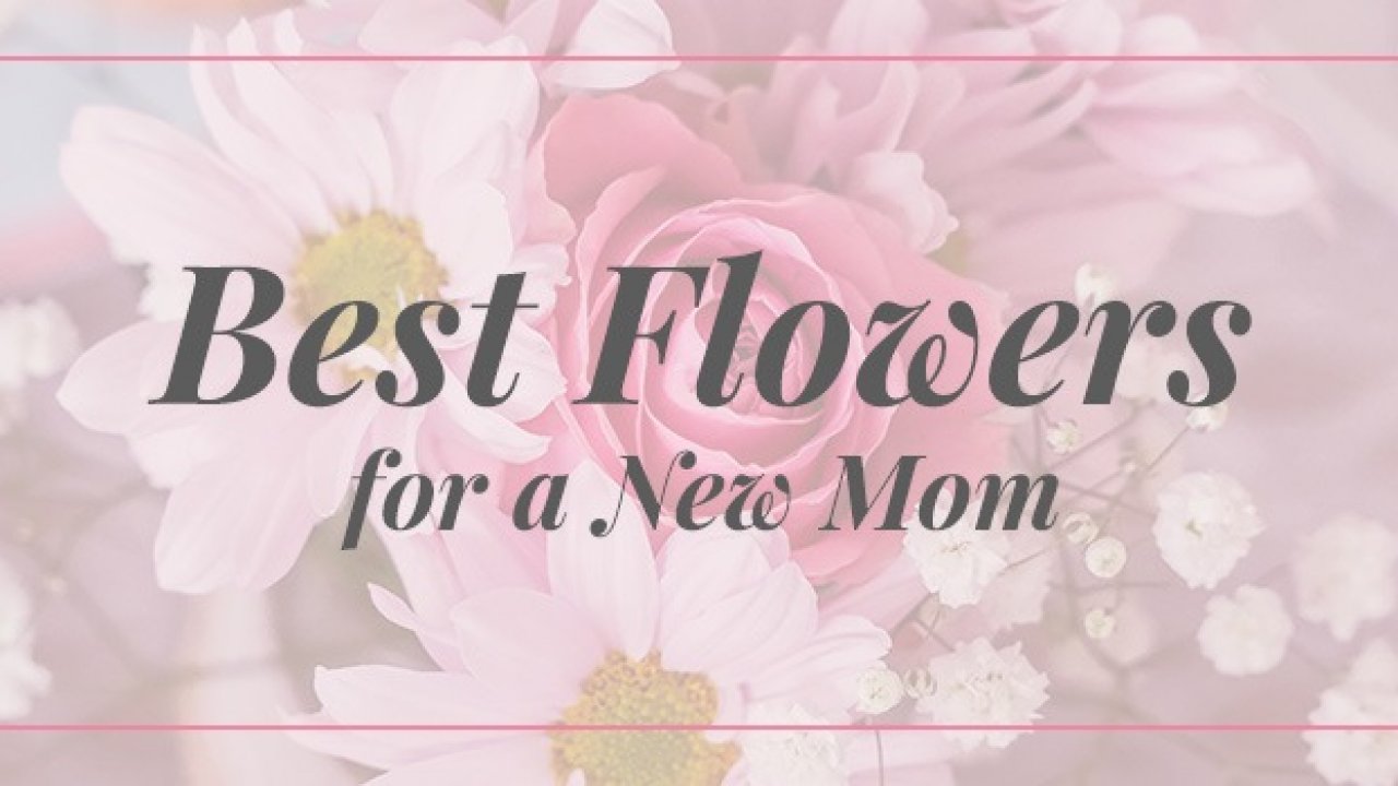 flowers for mother to be