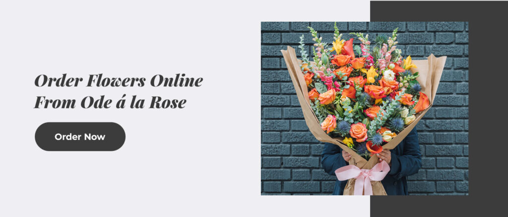 Online Flower Delivery, Free Shipping