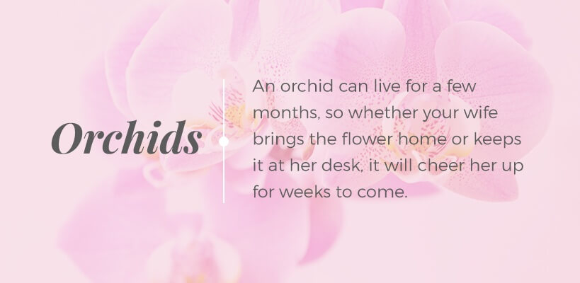 orchids can live a few months