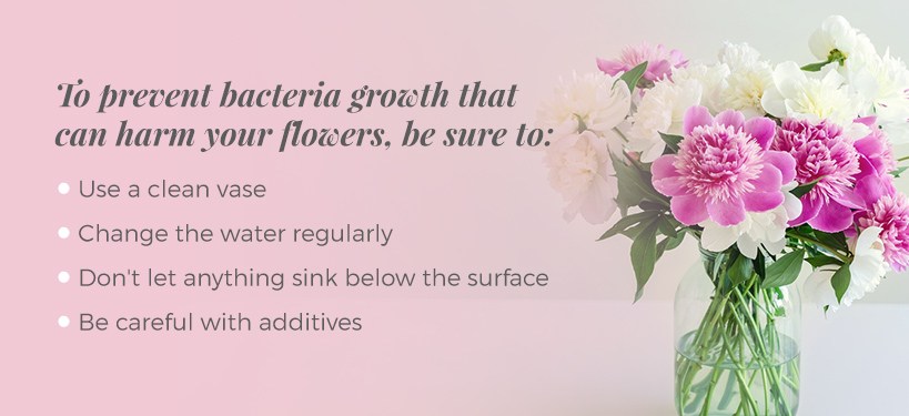 prevent bacteria on flowers