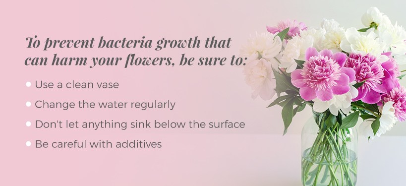 How Long do Flowers Last? | Comprehensive Guide - Ode à la Rose