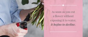 How Long do Flowers Last? | Comprehensive Guide | Ode à la Rose
