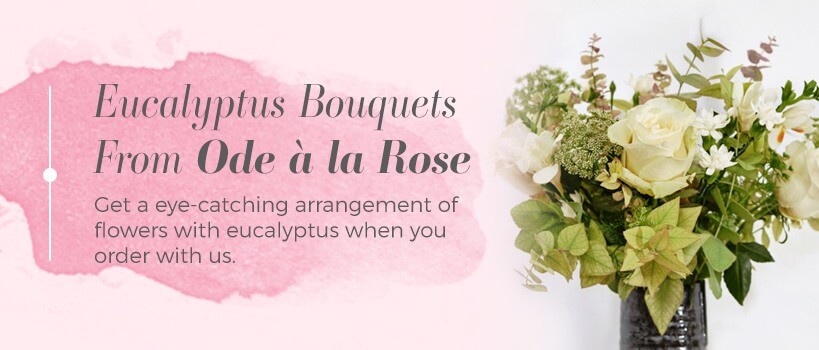 order eucalyptus bouquets