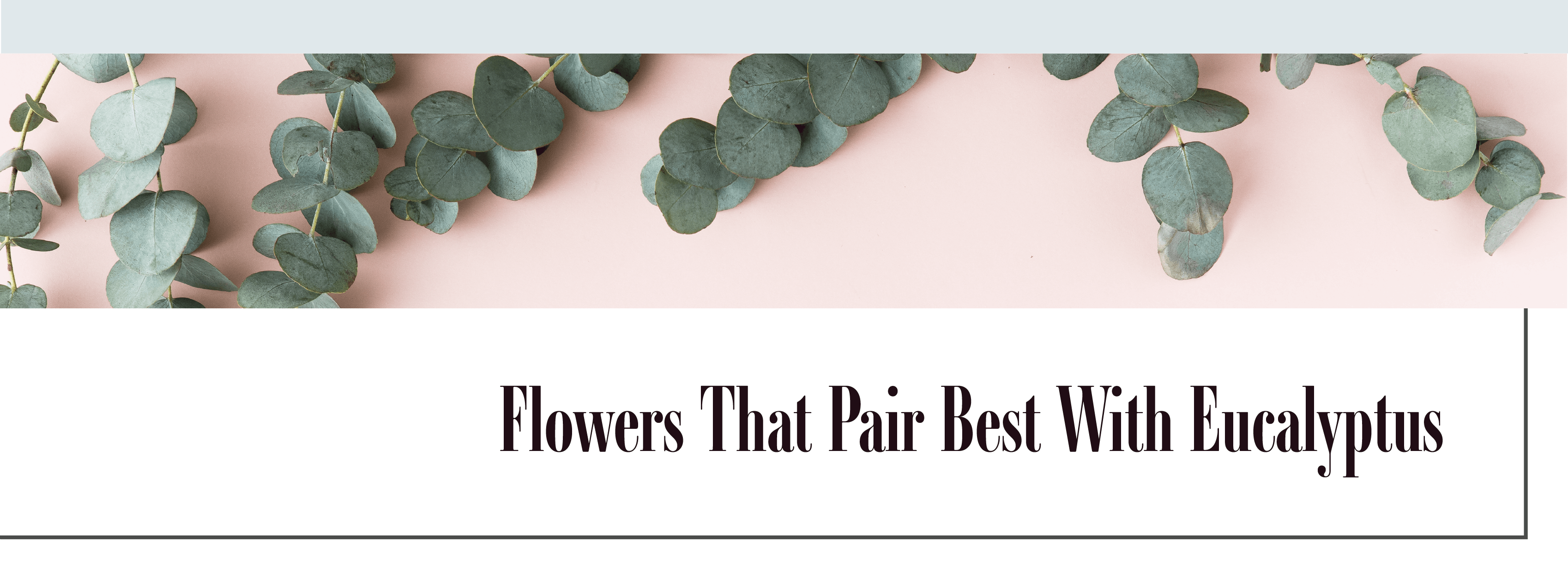 flowers that pair best with eucalyptus