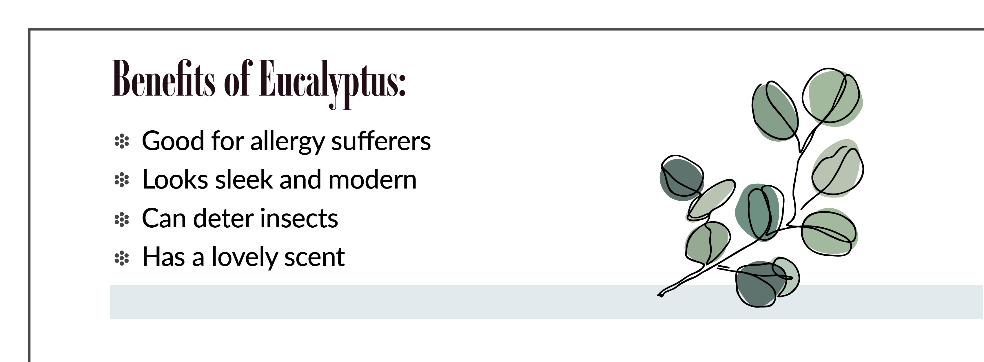 eucalyptus benefits