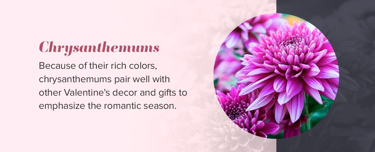 Alternative Flowers for Valentine's Day Ode á la Rose