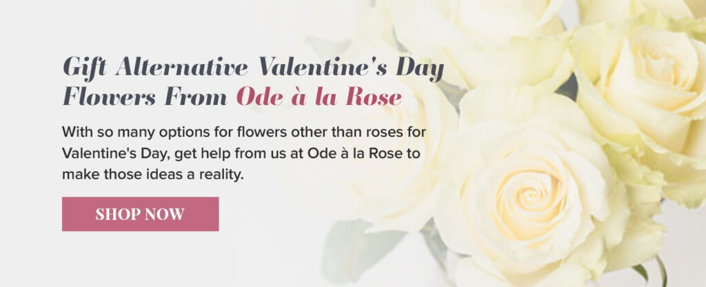 alternative valentines day flowers