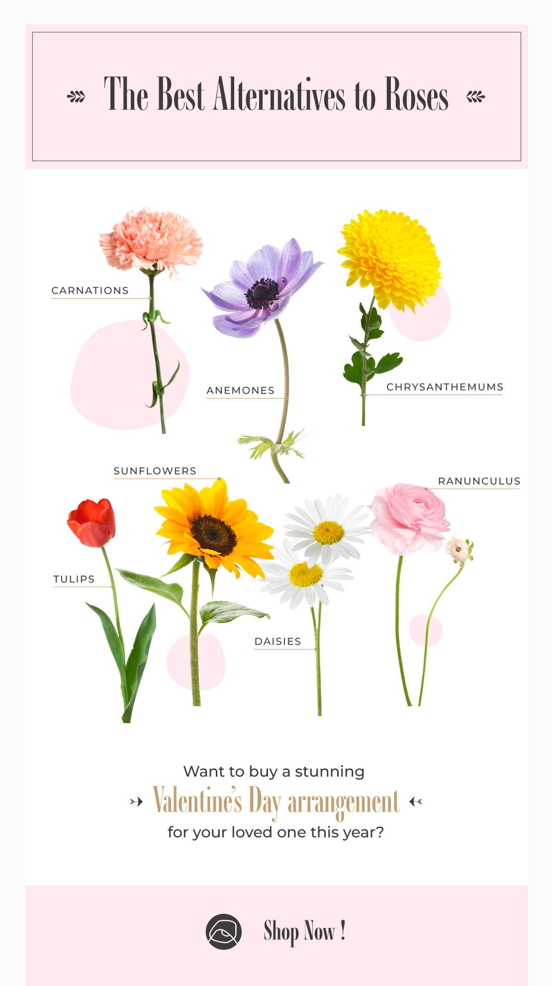 Alternative Flowers for Valentine's Day Ode á la Rose