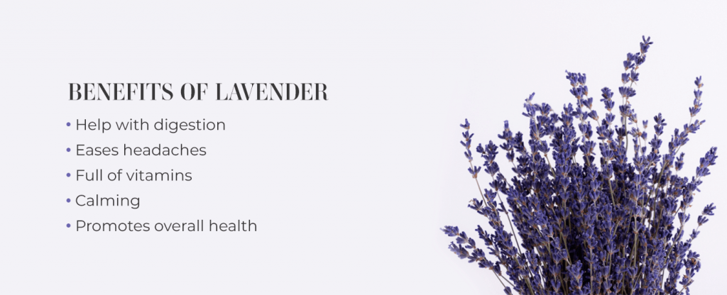 benefits of lavender