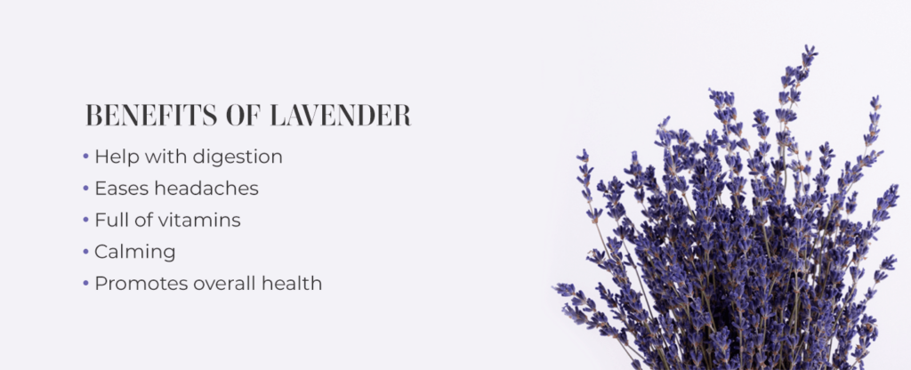 Culinary Lavender: Benefits & How To Use It