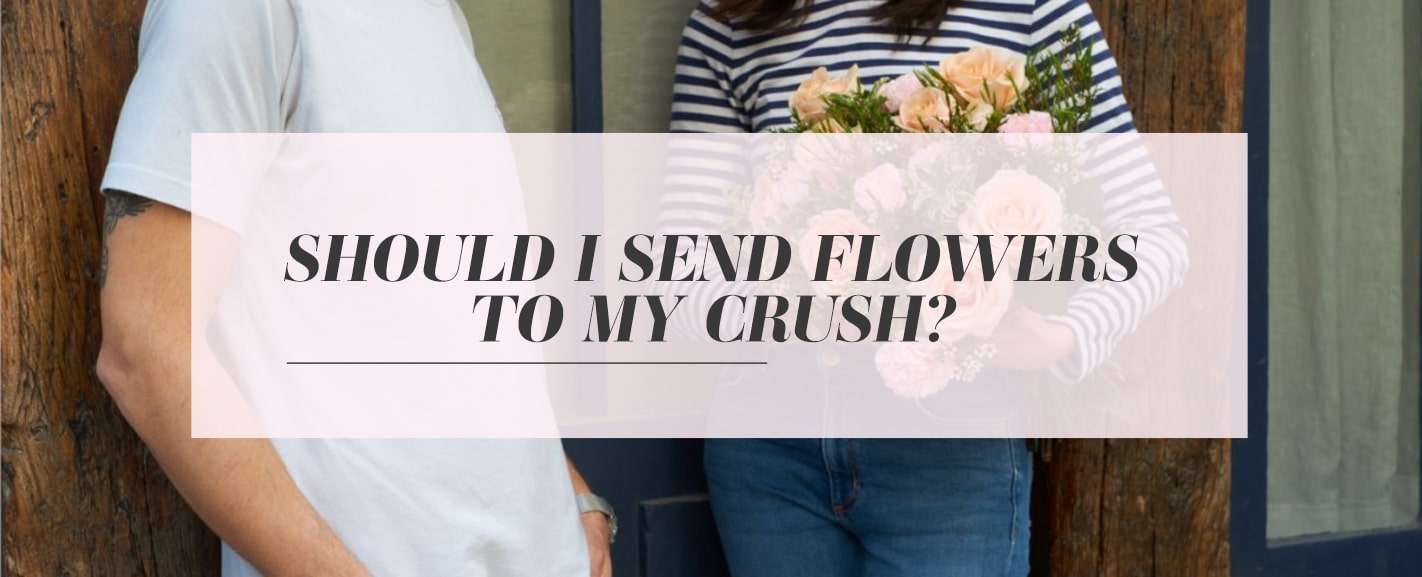 Should I Send Flowers To My Crush Ode la Rose