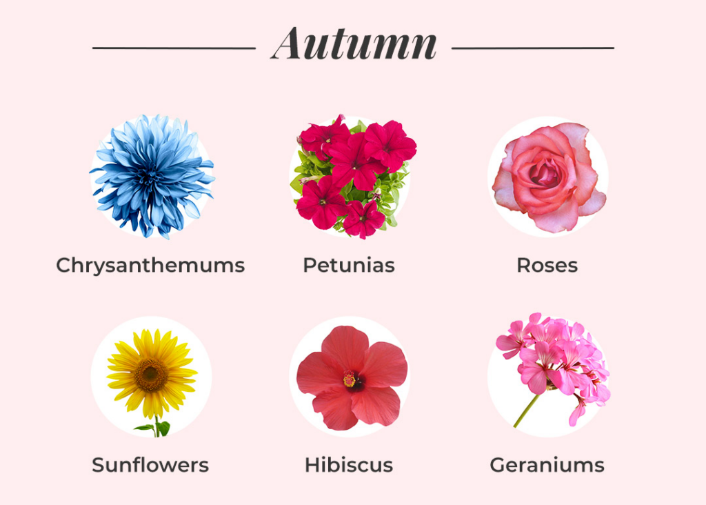 Michigan Flowers By Season Best Flower Site michigan-flowers-by-season-best-flower-site