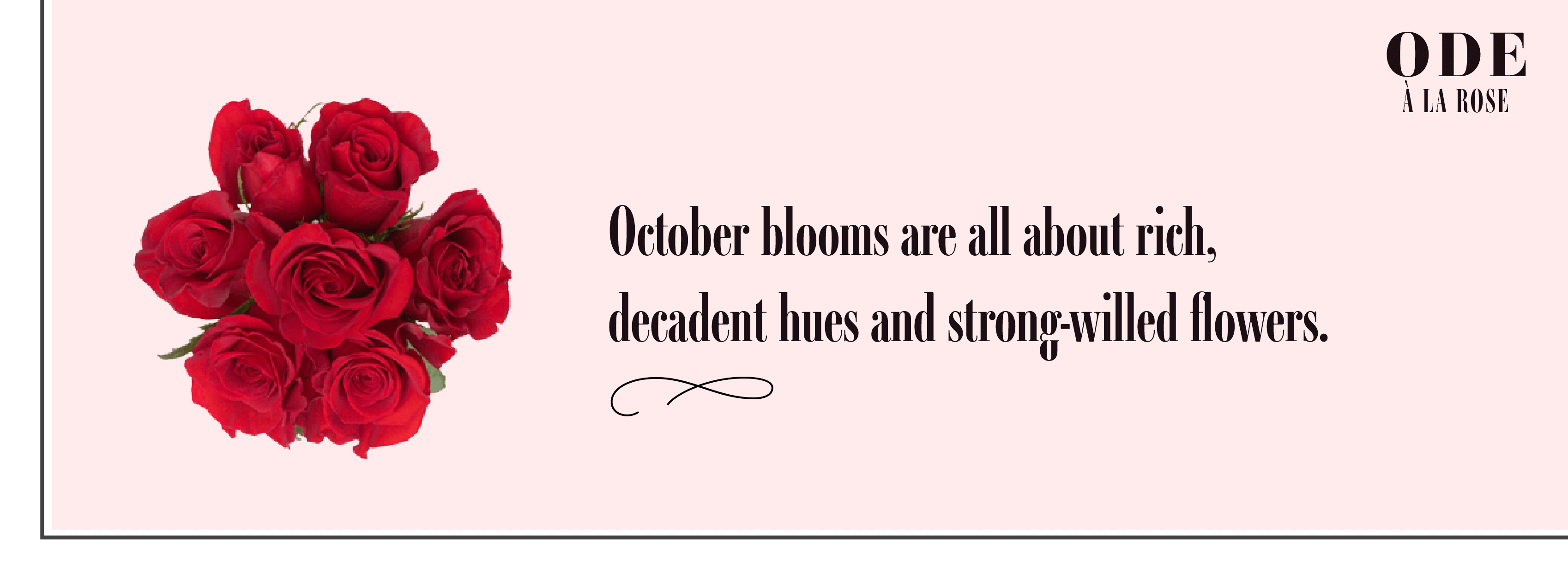 October blooms