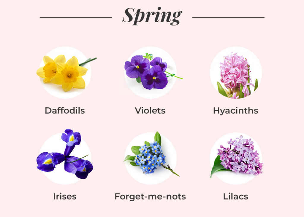 flowers in spring