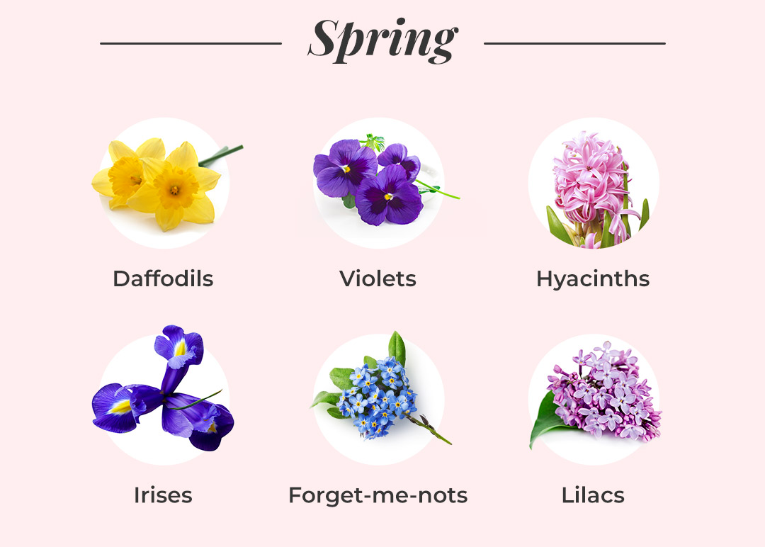 What Flowers Are In Season? A Seasonal Flower Guide