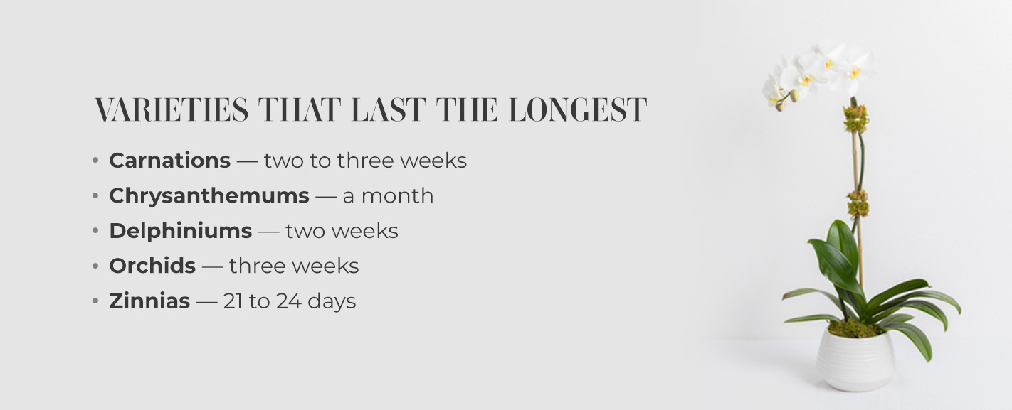 Comprehensive List of Flowers in Season in May