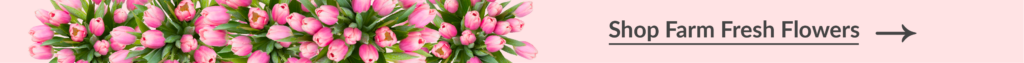 Shop farm fresh flowers