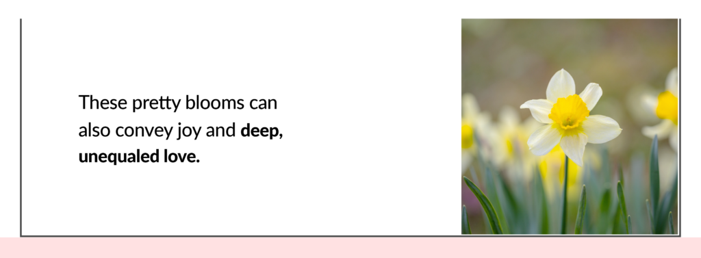 Blooms convey joy and love