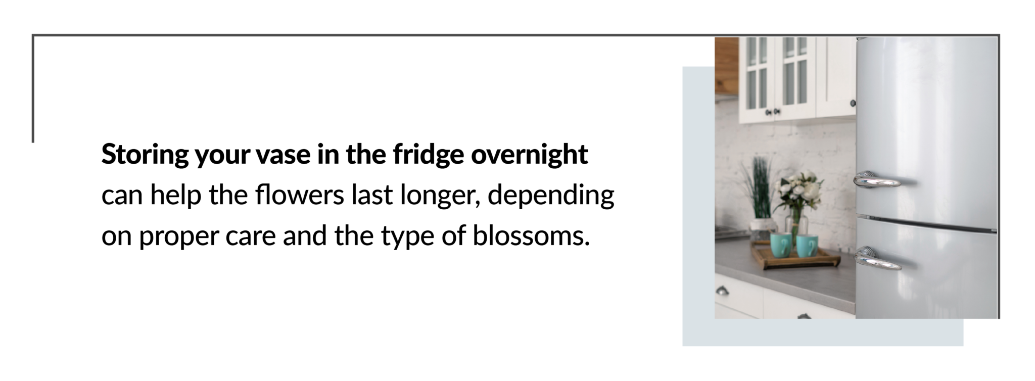 How Long do Flowers Last? Comprehensive Guide Ode à la Rose