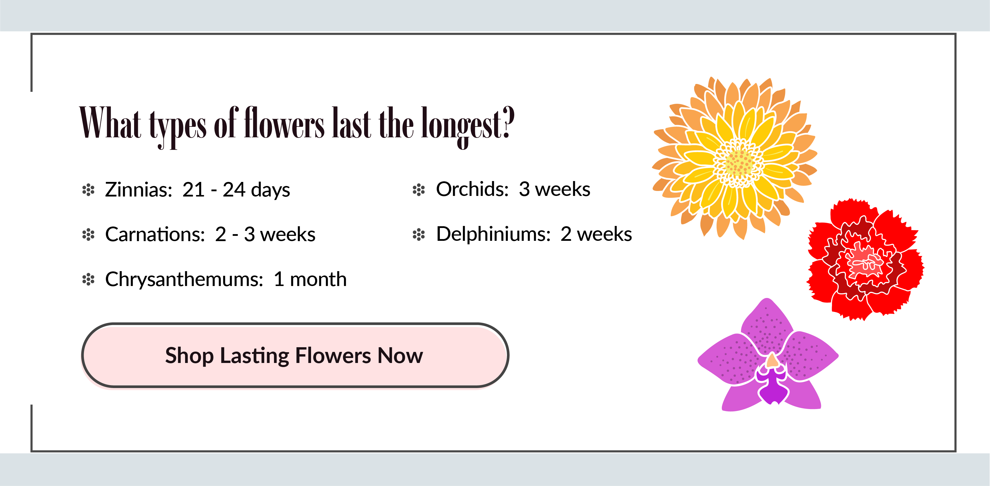 Which flowers last the longest