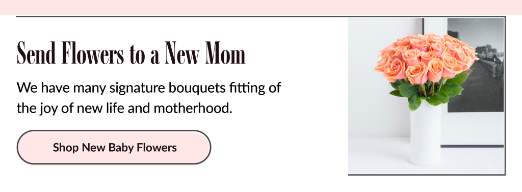 Spend Flowers to a New Mom