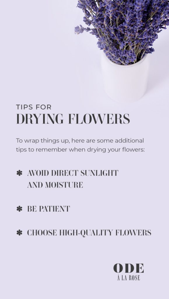 tips for drying flowers