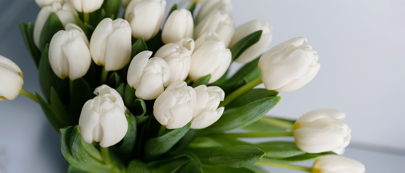 Guide to Cooking With Tulips Recipes & Tips