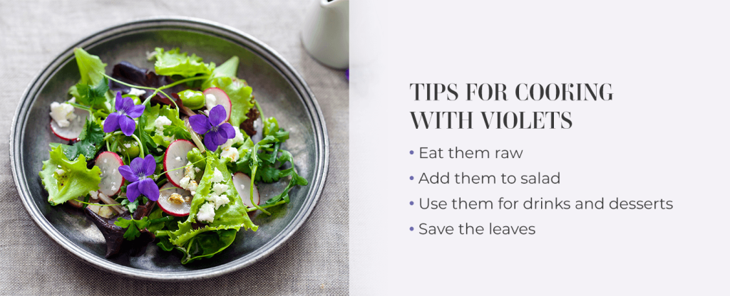 recipes with violets