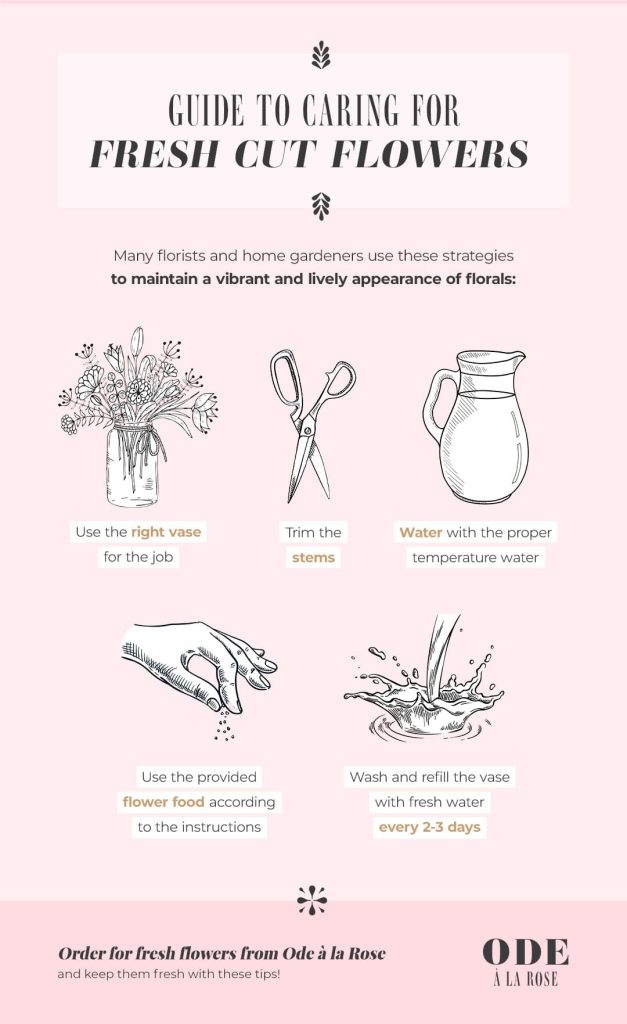 guide to caring for fresh cut flowers