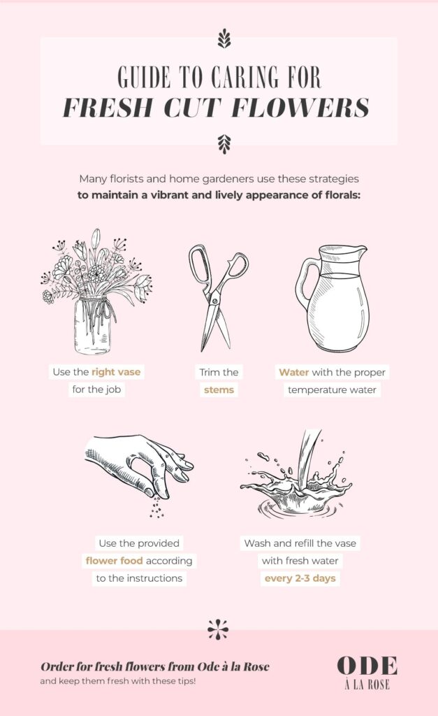 A Guide To Keeping Your Fresh Cut Flowers Fresh