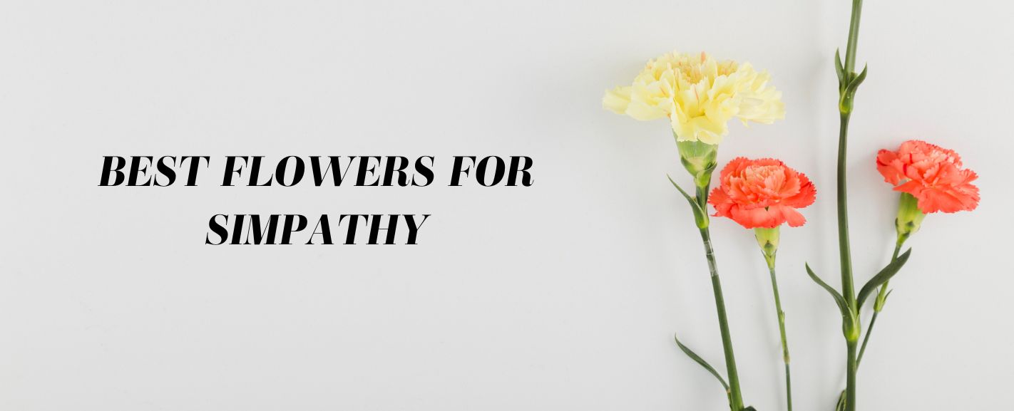 12 Best Flowers for Sympathy