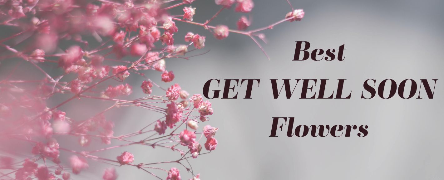 10 Best Get Well Soon Flowers | Ode a la Rose, image size:1422x577