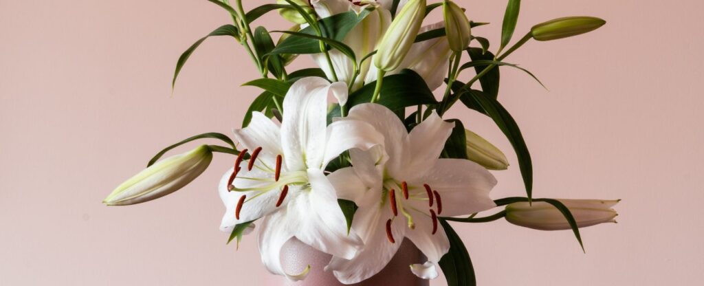 best flowers for sympathy