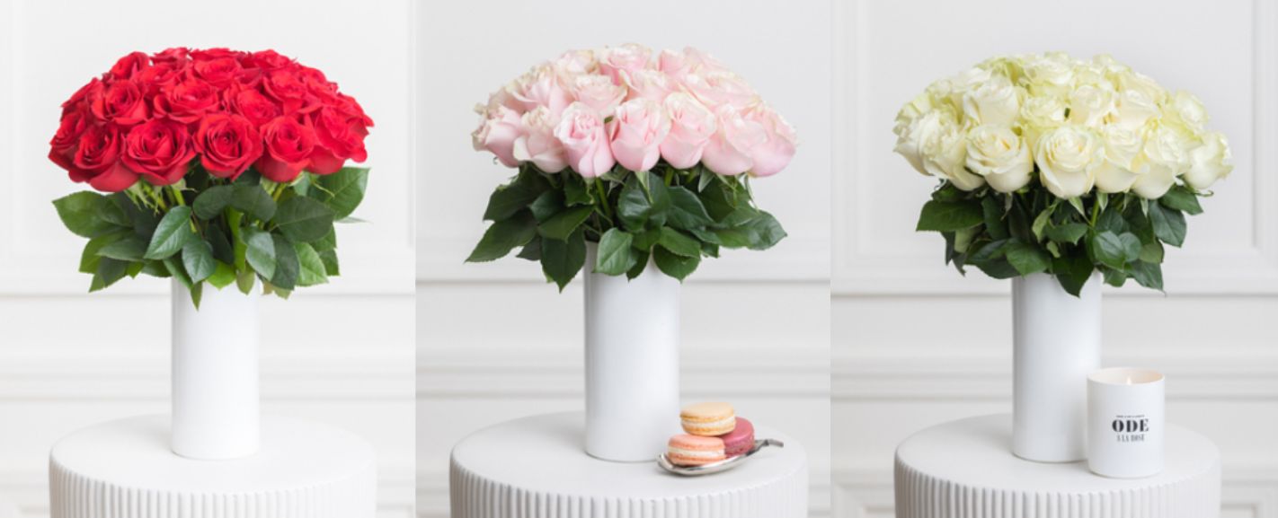 12 Best Flowers for Teacher’s Day Ode a la Rose